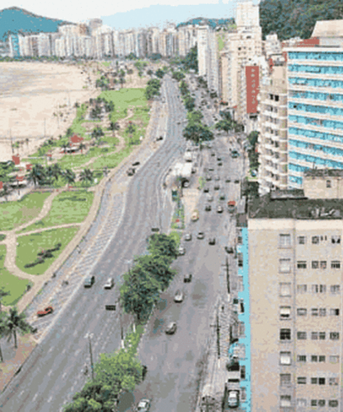 Consultoria em Paisagismo